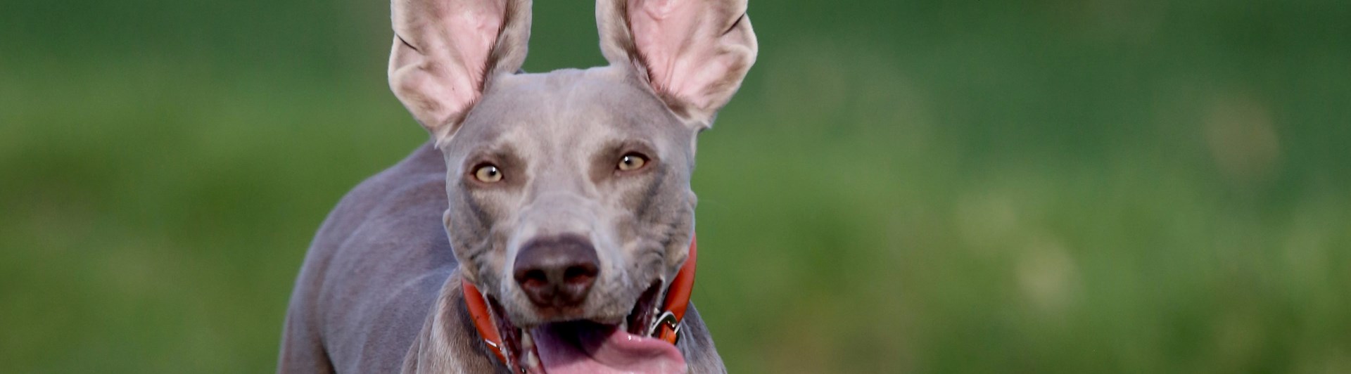 Foto: Nathalie Spehner - Unsplash