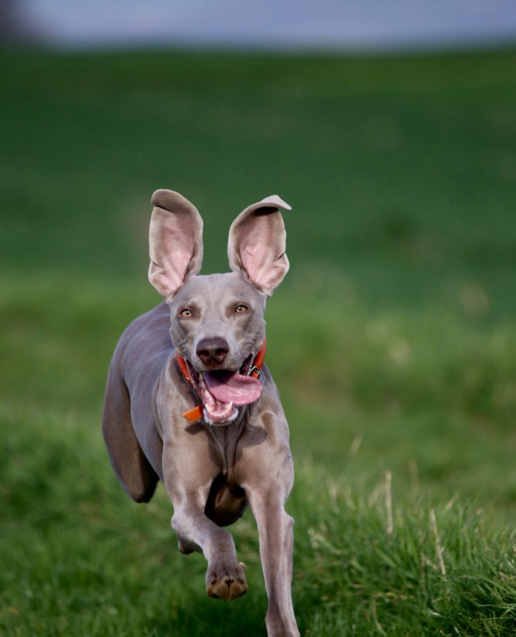 Foto: Nathalie Spehner - Unsplash