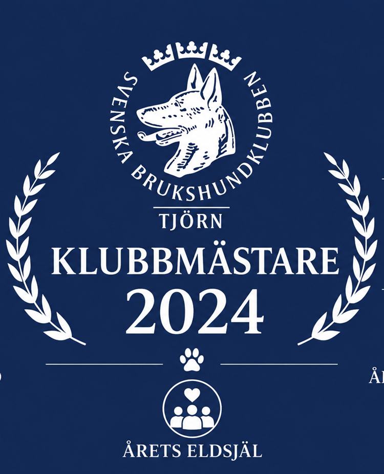 Klubbmästare 2024