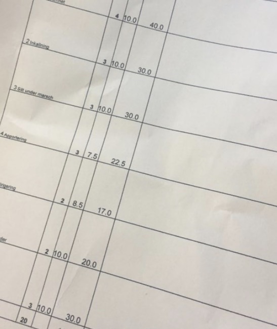 Bild på ett tävlings papper