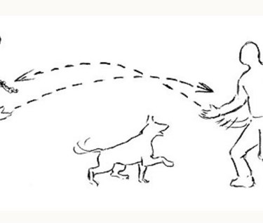 Illustration regler och anvisningar