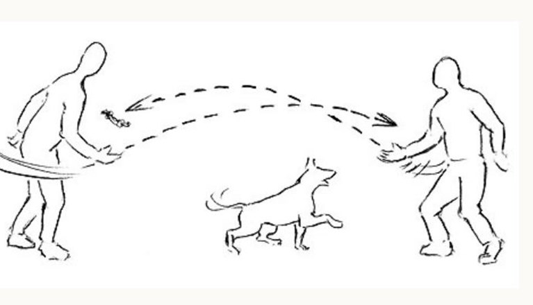 Illustration regler och anvisningar