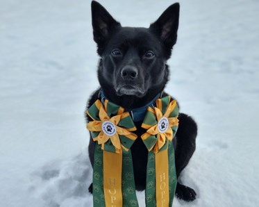 Max - Agility 2024-02-18