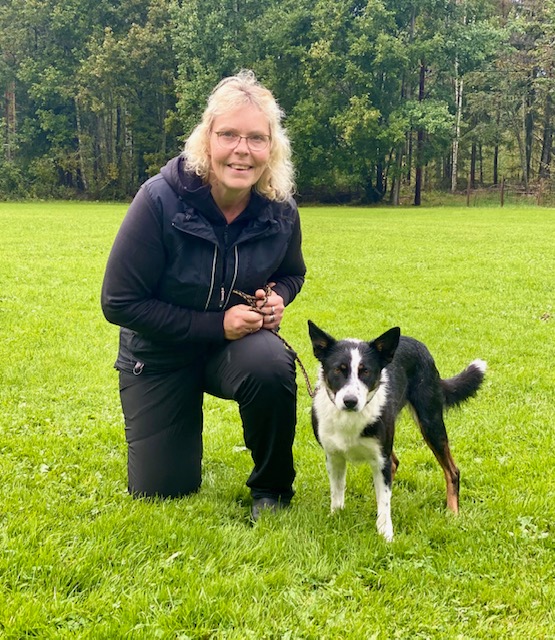 Bordercollie poserar tillsammans med förare