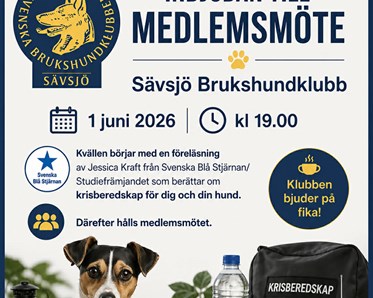 Medlemsmöte bild
