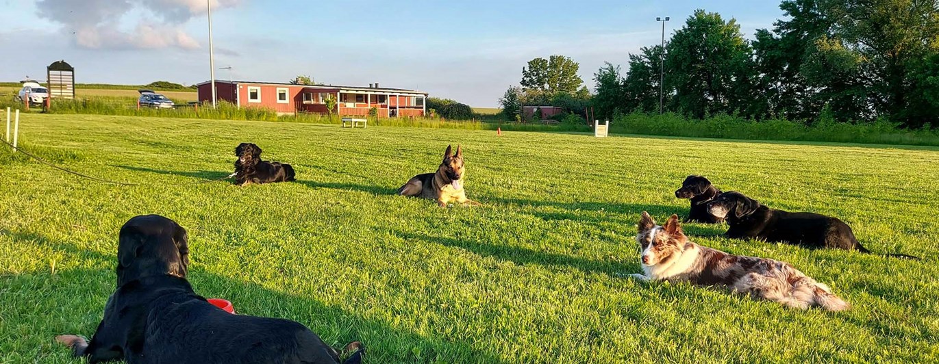Planen på Eslövs Brukshundklubb