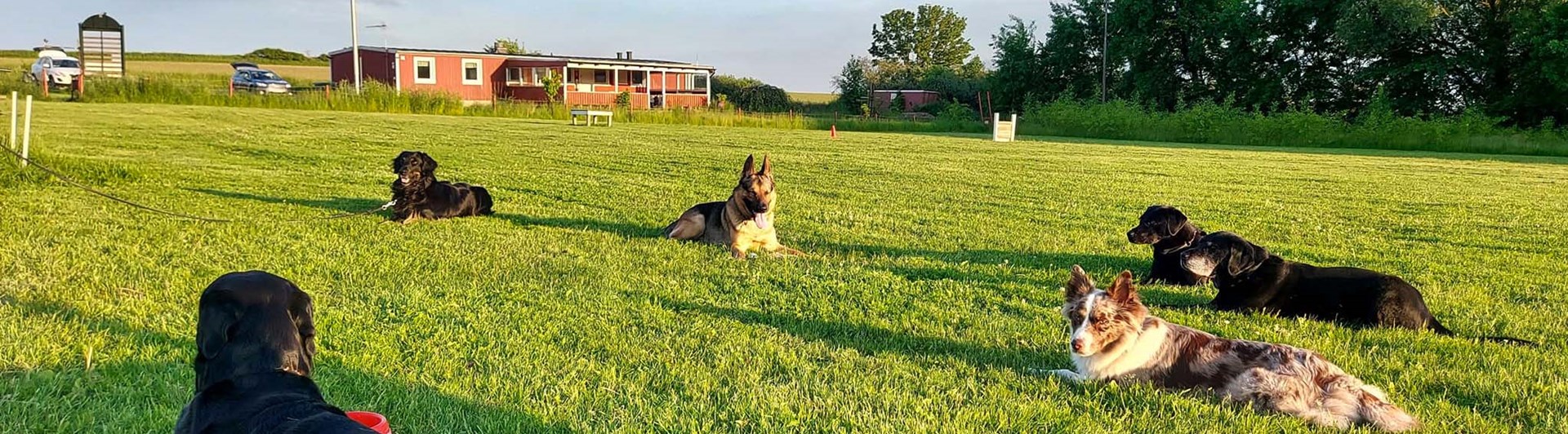 Planen på Eslövs Brukshundklubb