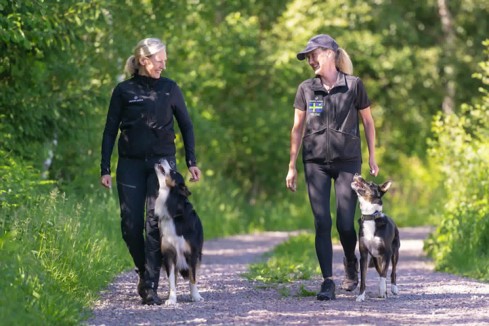 2 personer går med sina hundar på en skogsväg