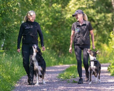 2 personer går med sina hundar på en skogsväg
