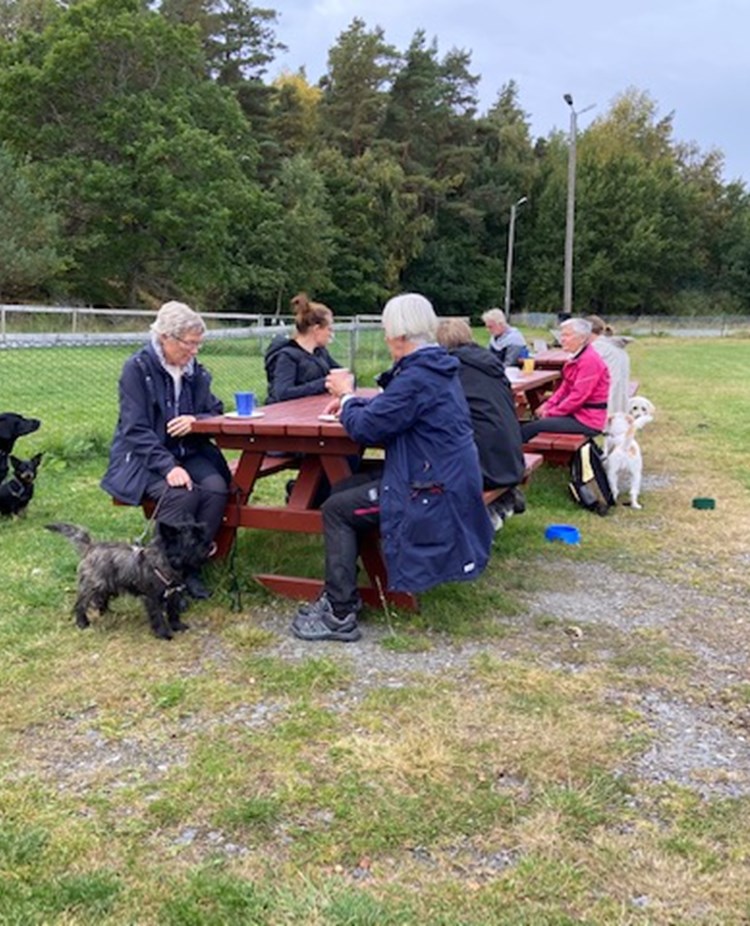 Hundägare som fikar på klubben.
