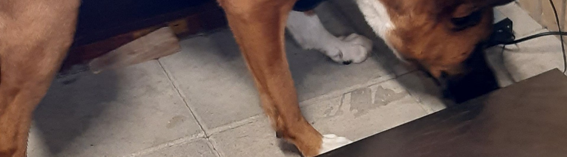 Specialsök
