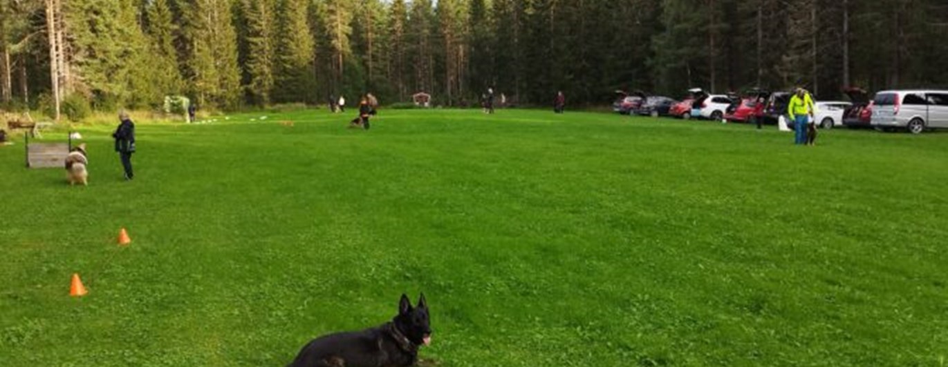 Vår träningsplats samt får kåta i Slansve