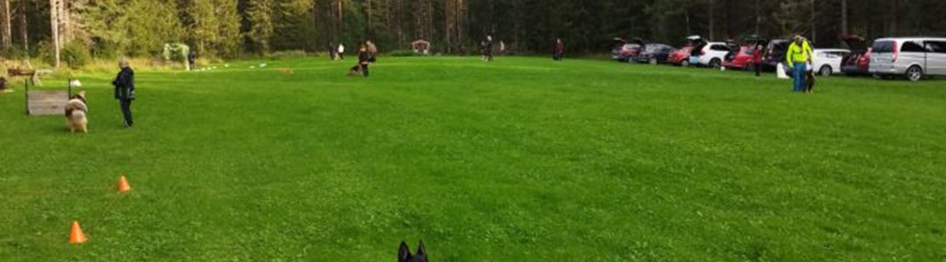 Vår träningsplats samt får kåta i Slansve