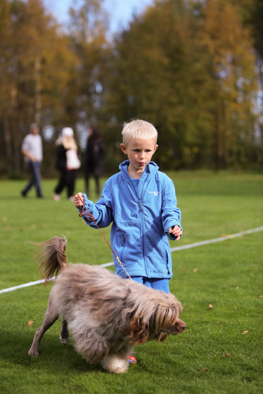 Barn med hund på utställning