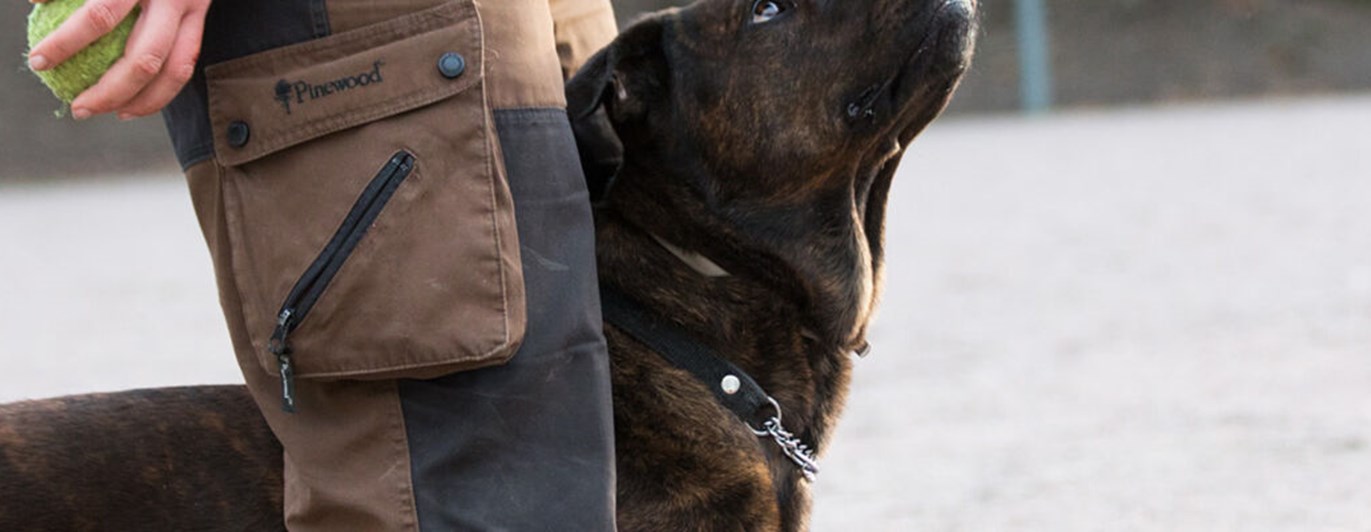 Närbild av hund av staffe-typ står i bredvid sin förares ben