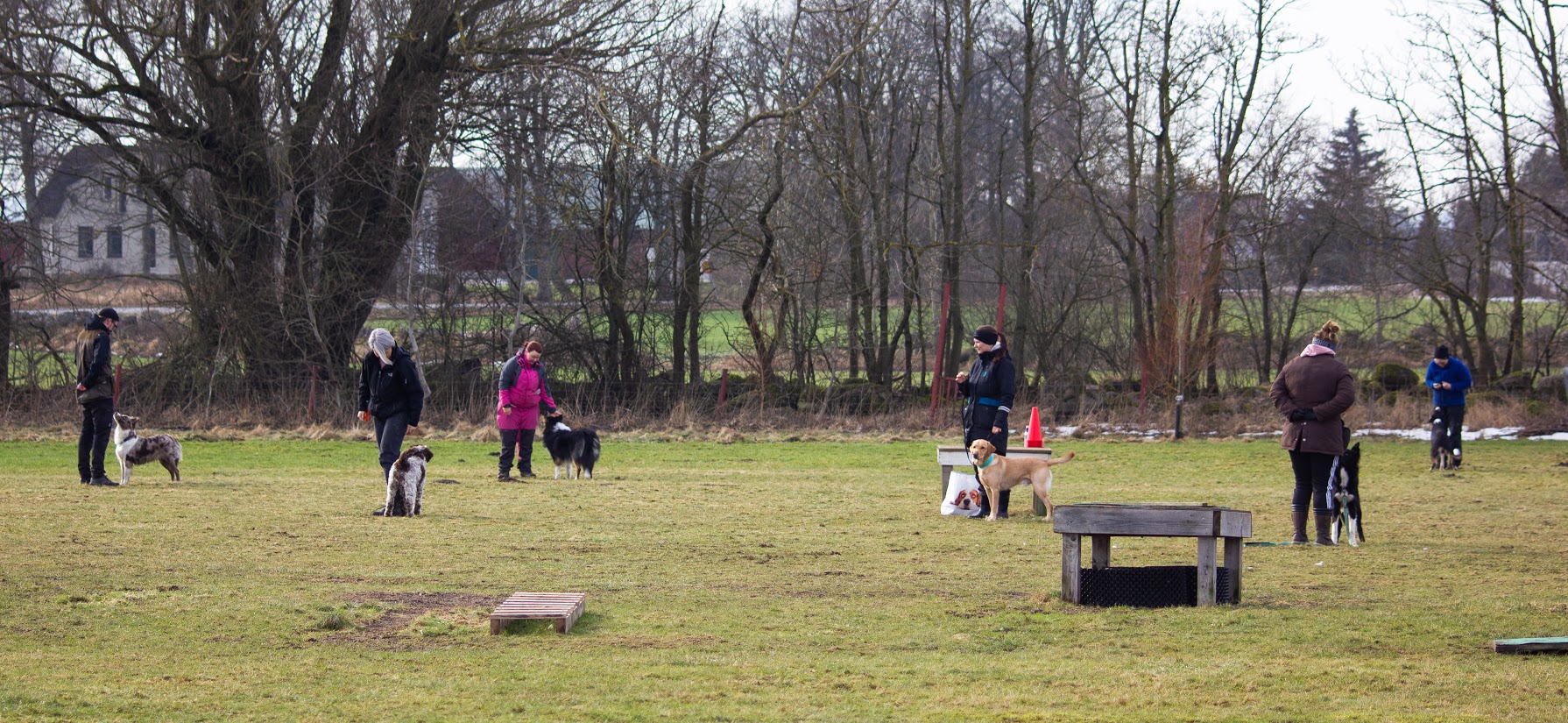 Kurs på Eslövs Brukshundklubb