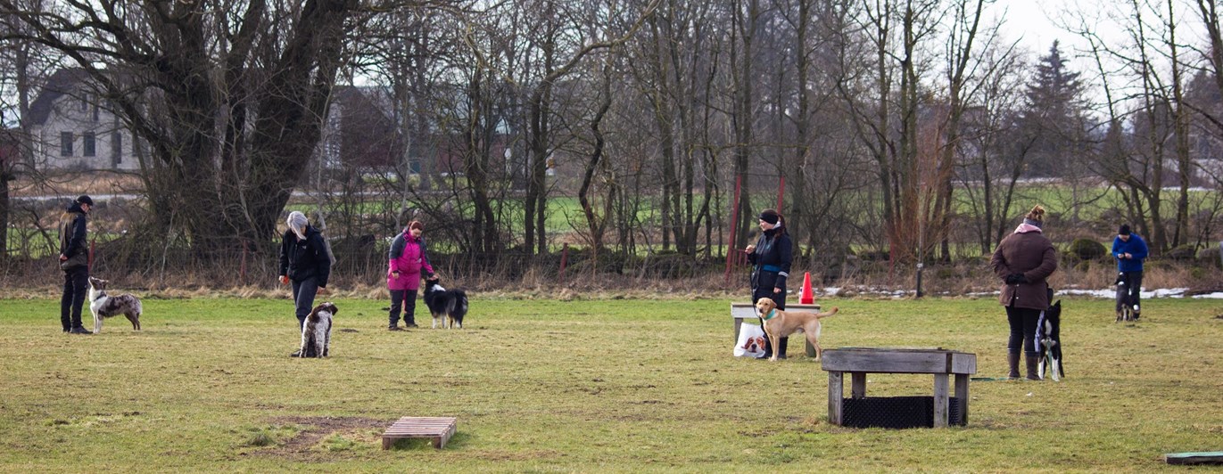 Kurs på Eslövs Brukshundklubb