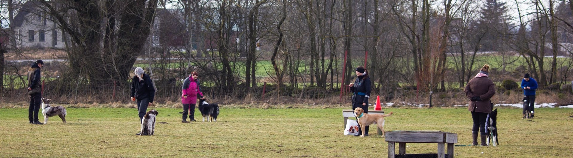 Kurs på Eslövs Brukshundklubb