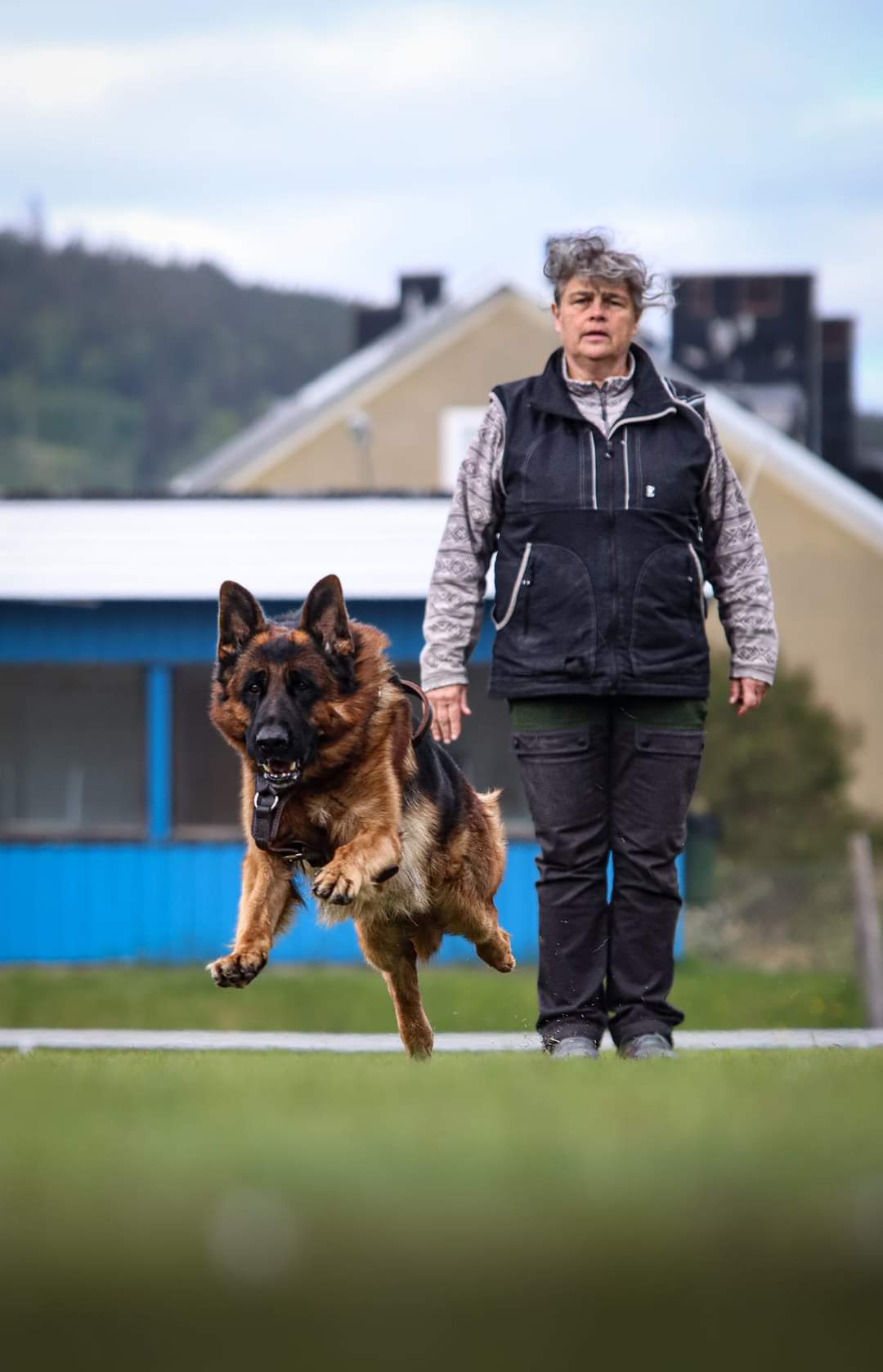 Förare och hund i skydd