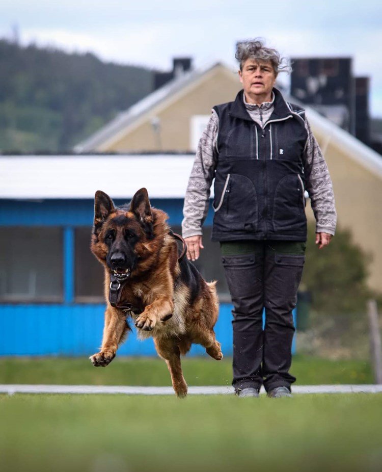Förare och hund i skydd
