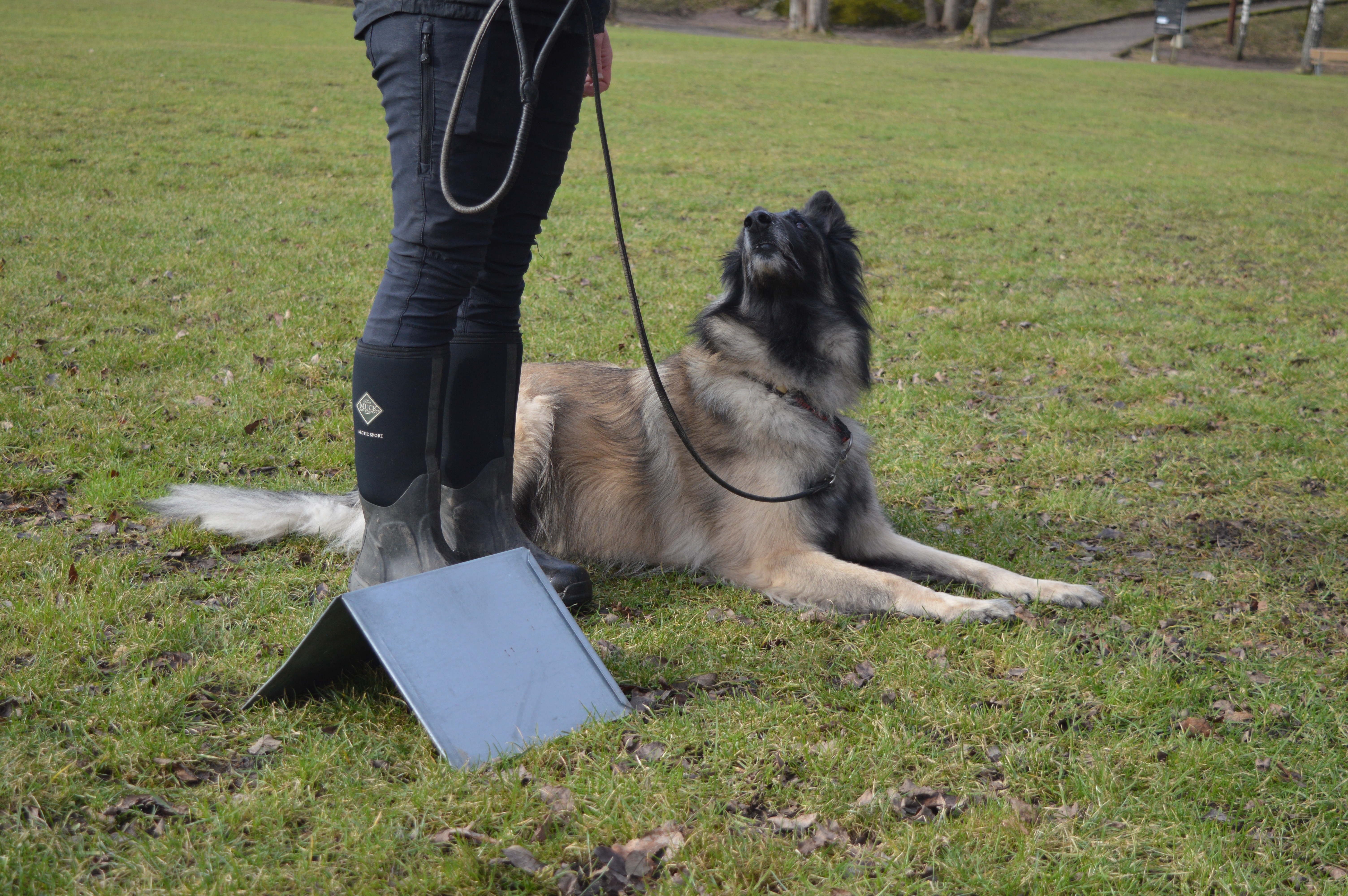 Ett ekipage som utför ett rallylydnadsmoment vid en skylt.