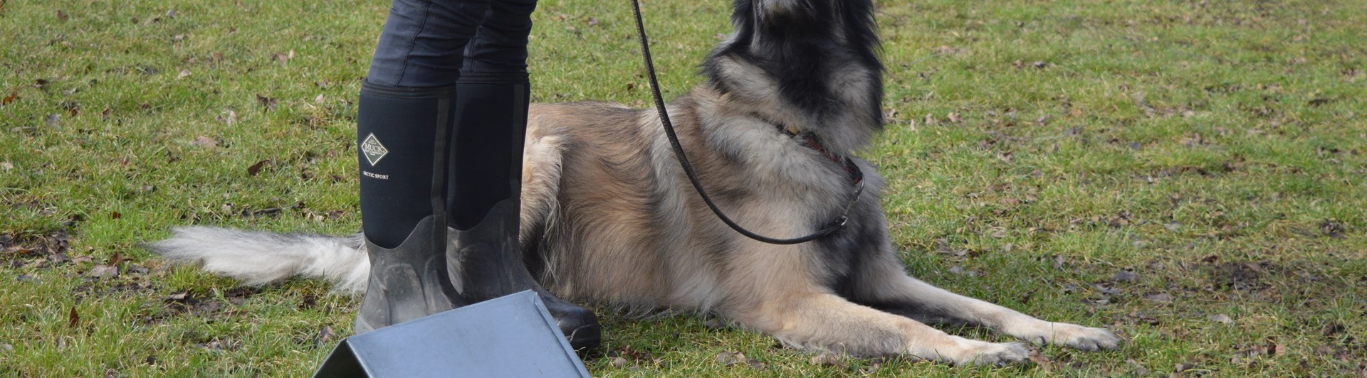 Ett ekipage som utför ett rallylydnadsmoment vid en skylt.