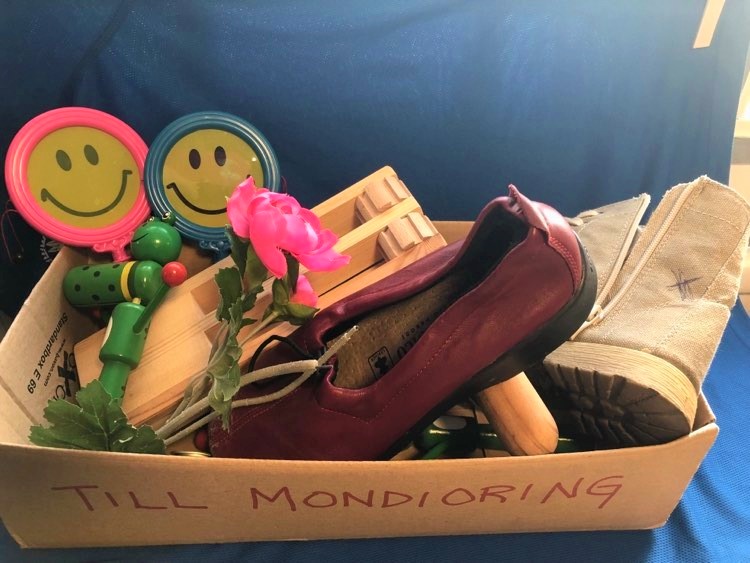 Attiraljer för mondioring