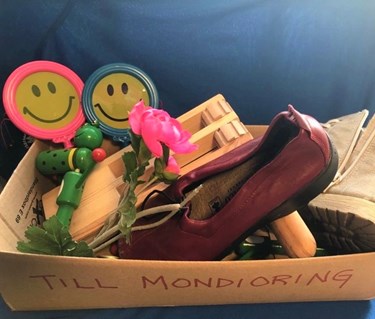 Attiraljer för mondioring