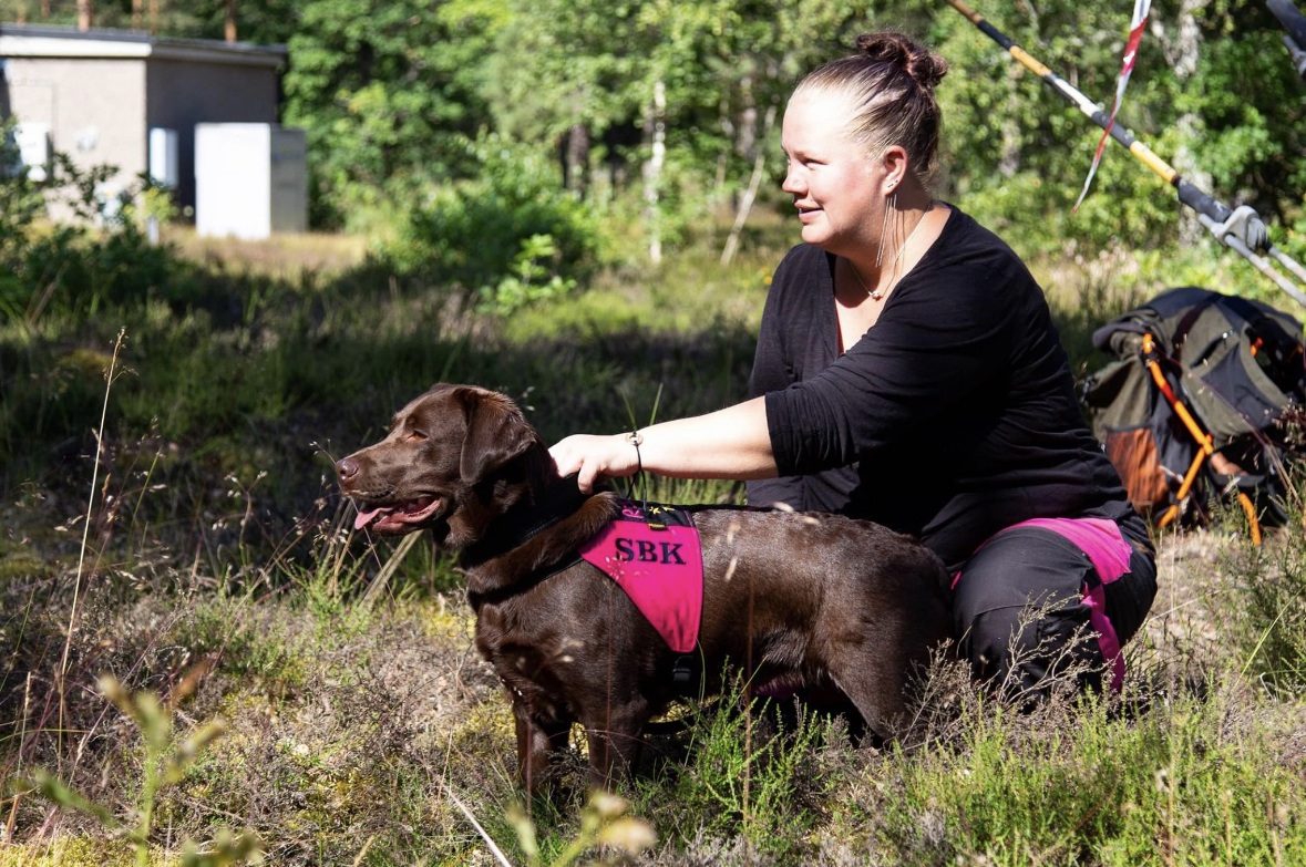 SBK hund