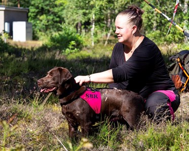 SBK hund