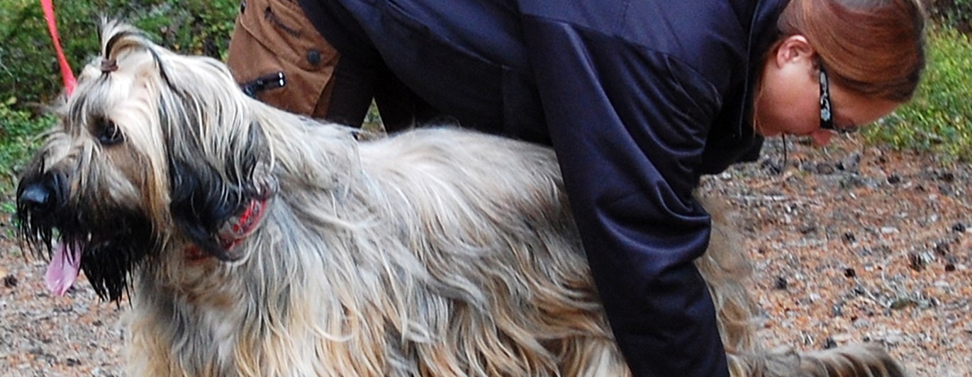 Hund som blir hanterad av en testledare