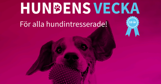 Hundens vecka 2026