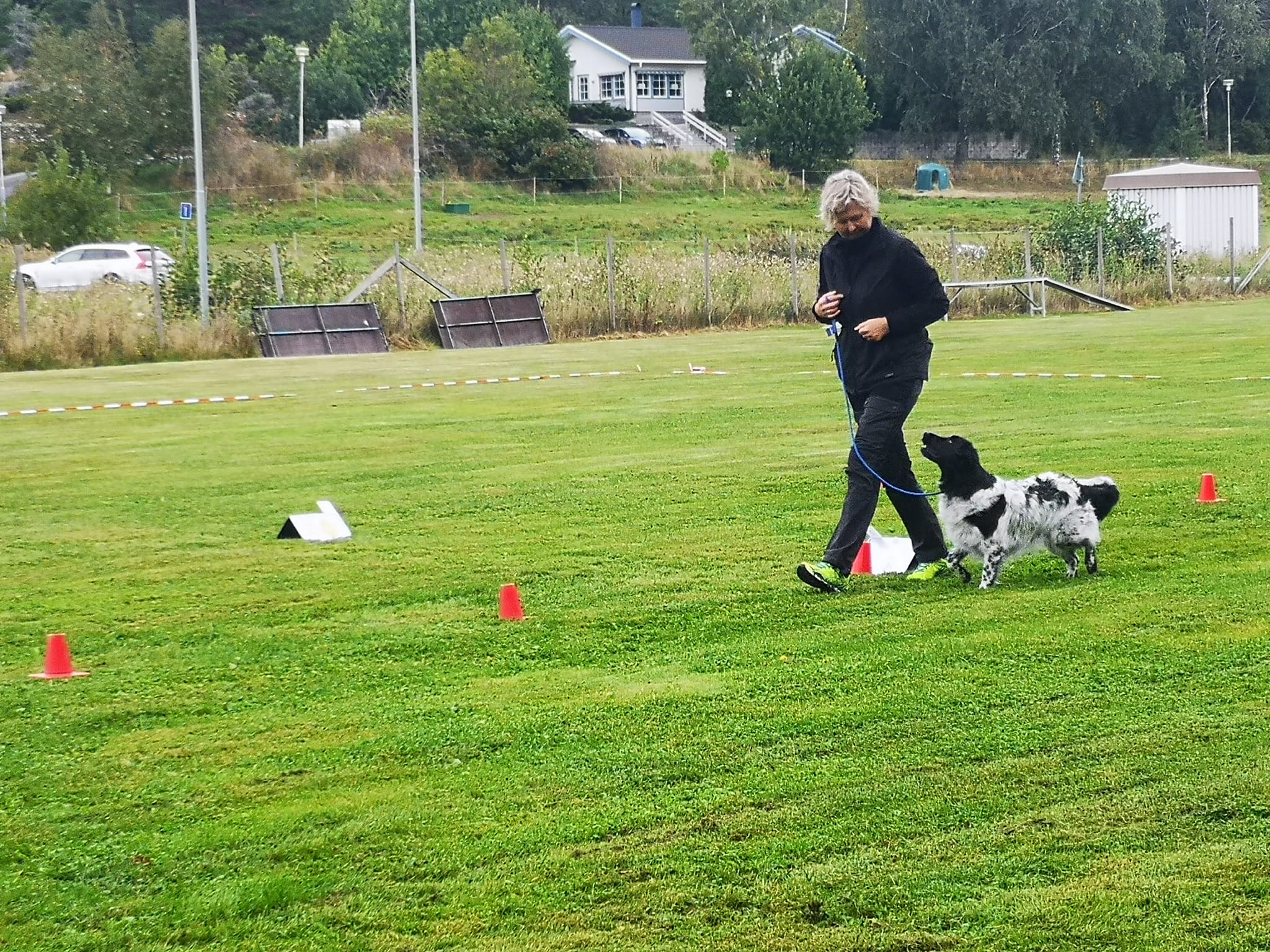 Hund med förare på rallybana