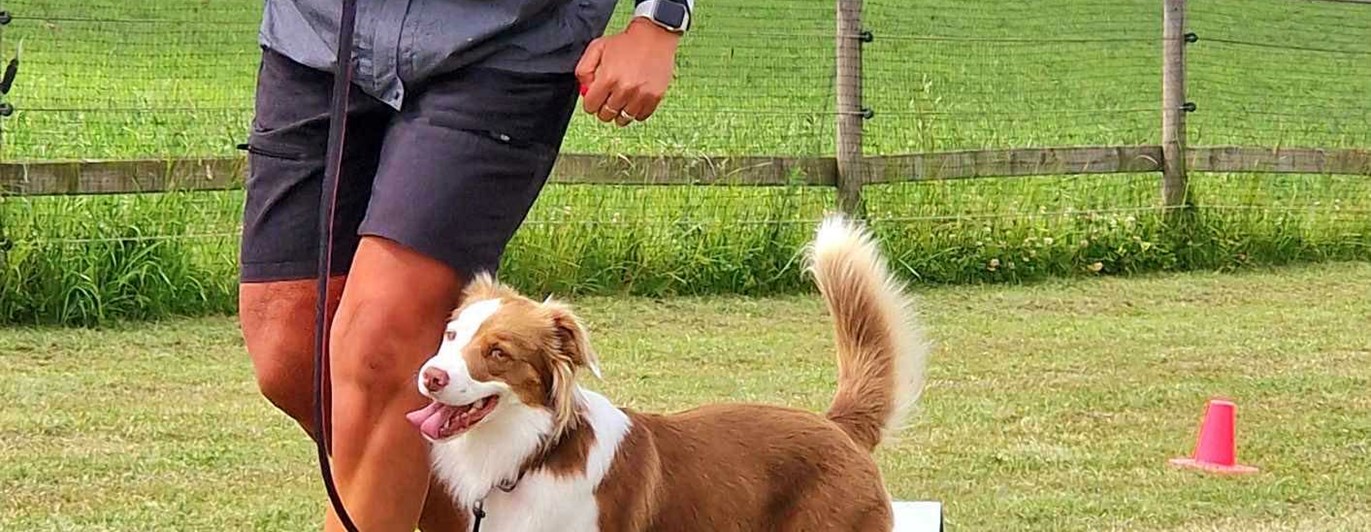 Bild till våra tisdagsträningar