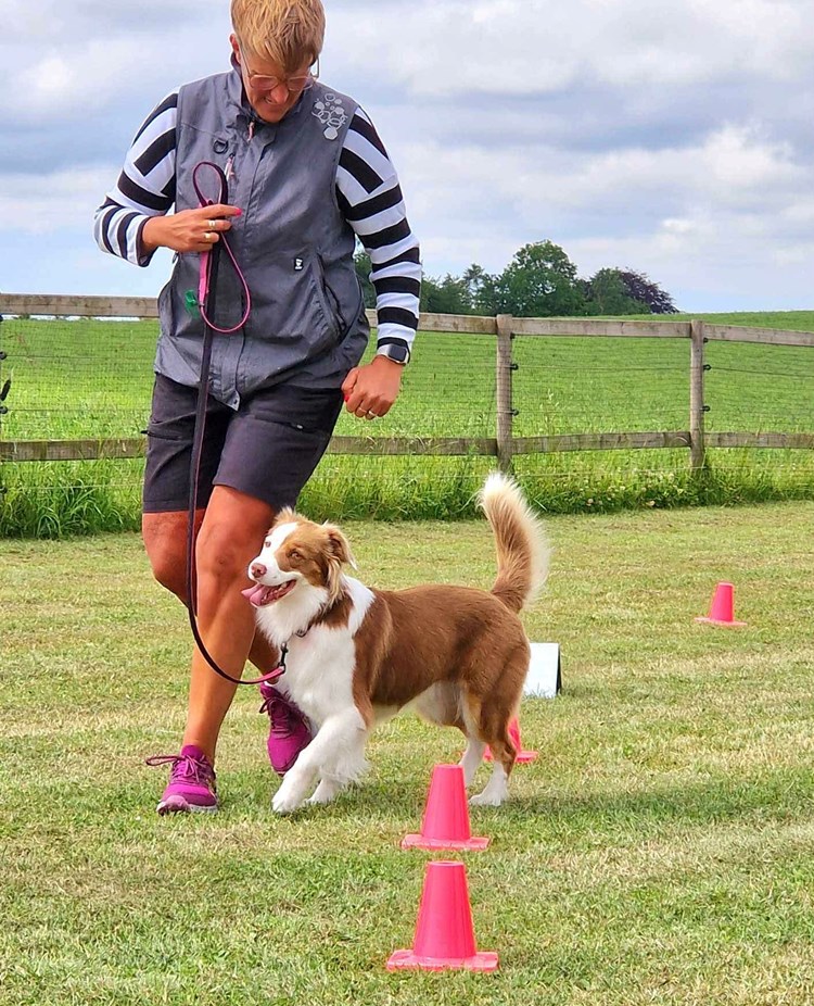 Bild till våra tisdagsträningar