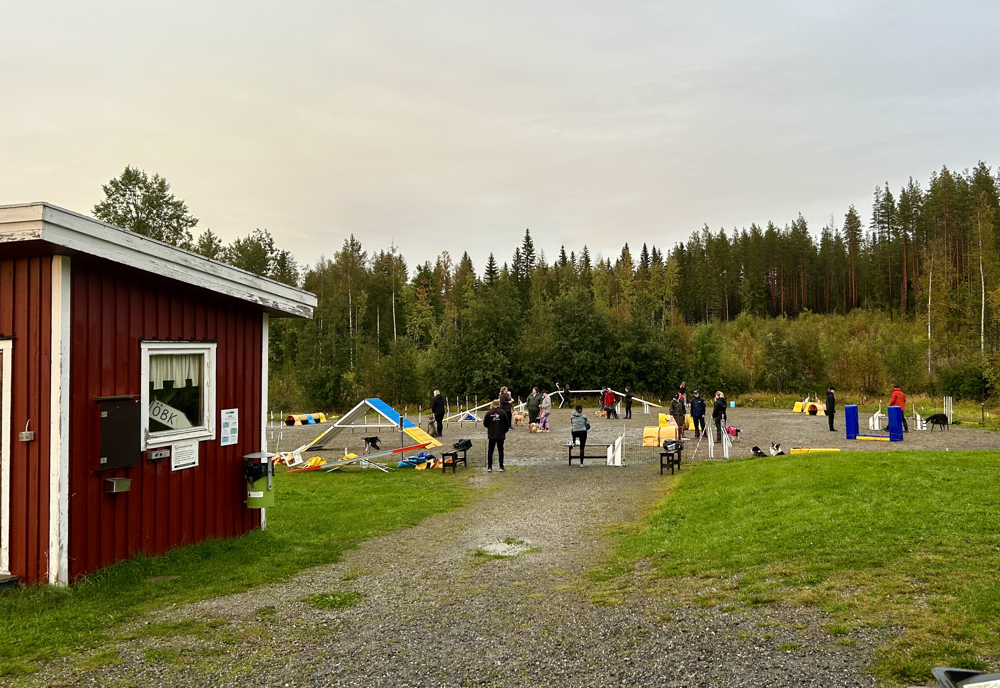 Aktivitet på agilityplanen