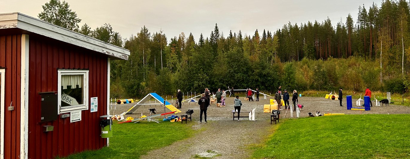 Aktivitet på agilityplanen