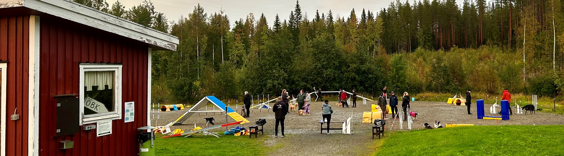 Aktivitet på agilityplanen