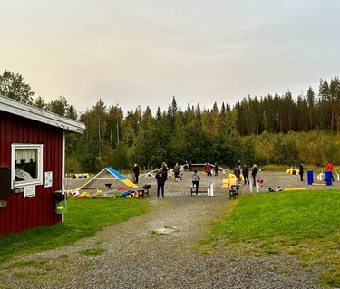 Aktivitet på agilityplanen