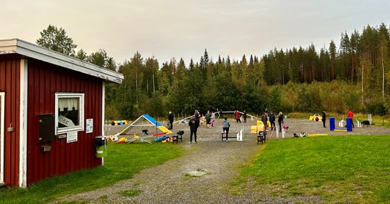 Aktivitet på agilityplanen