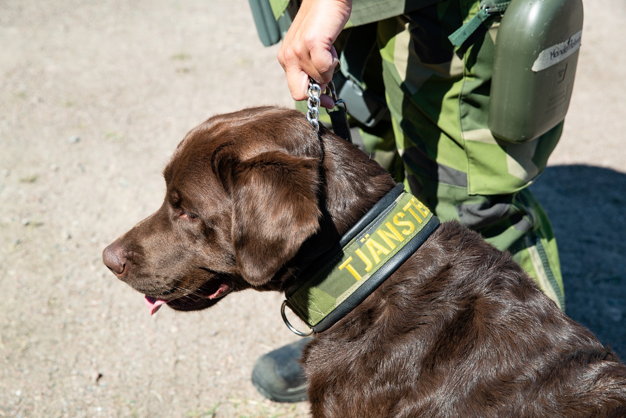 Fotograf: Magnus Fröderberg