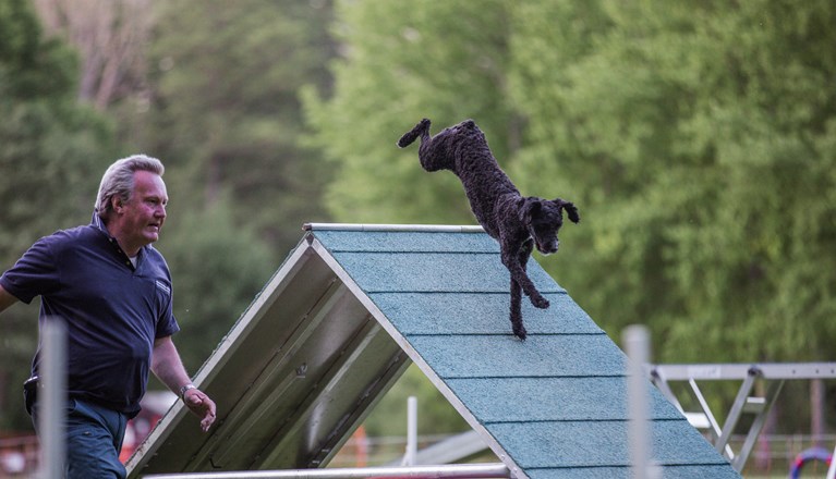 Årets Hund 2024 - Årets Nybörjare Agility