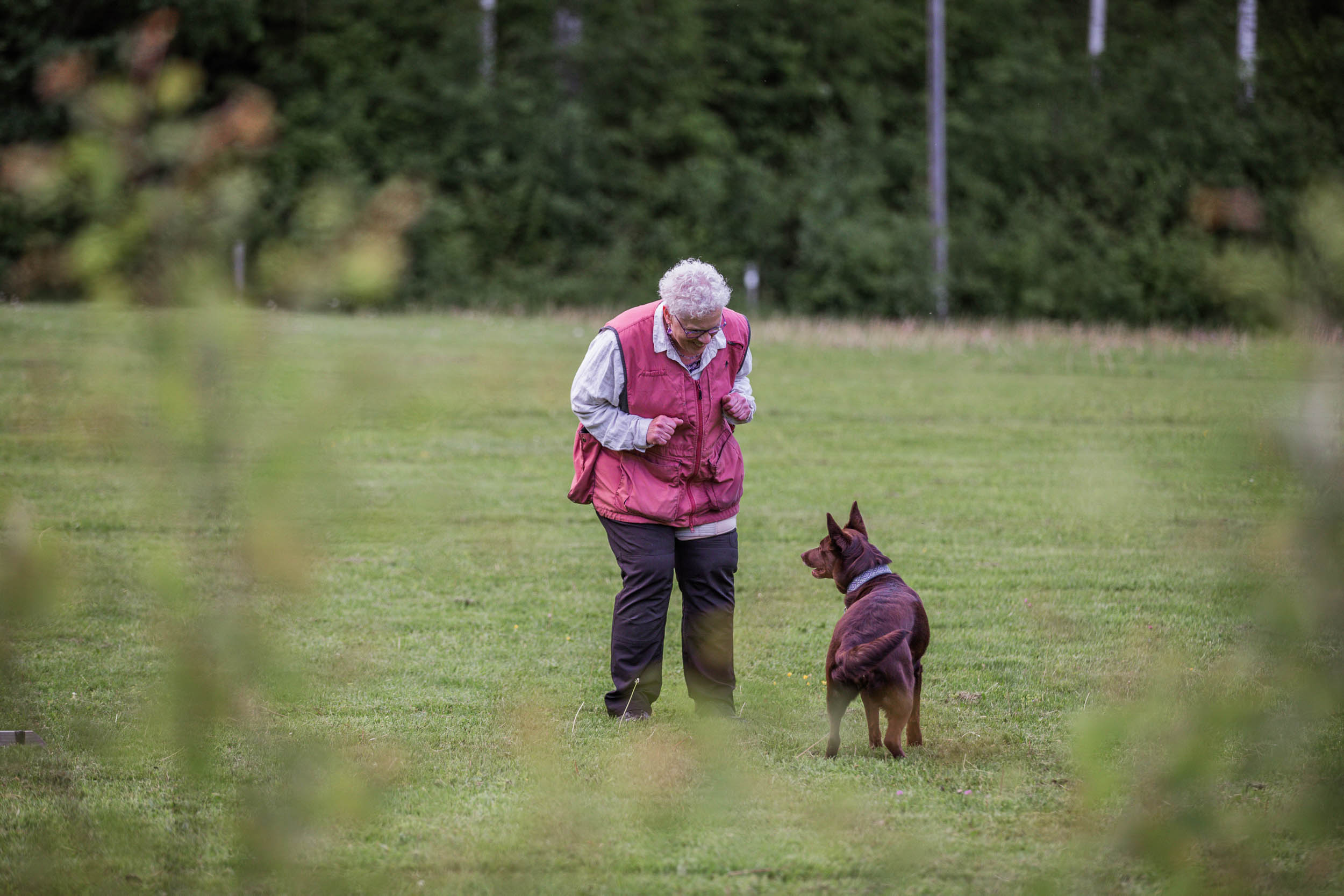 Årets Hund 2024 - Årets Kämpe Bruks