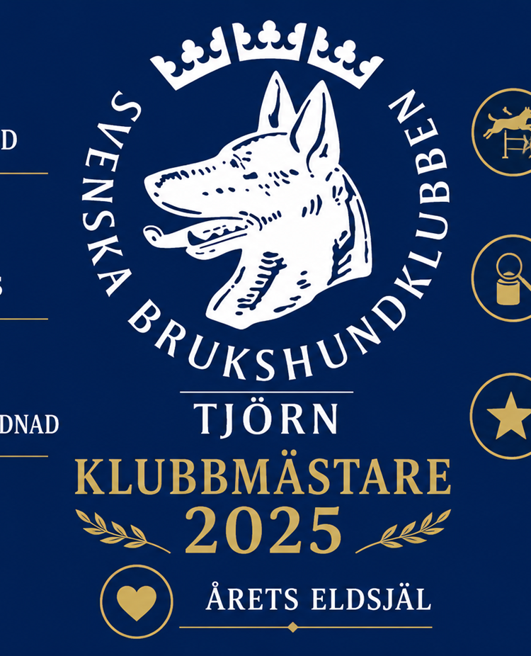 Klubbmästare 2025 2