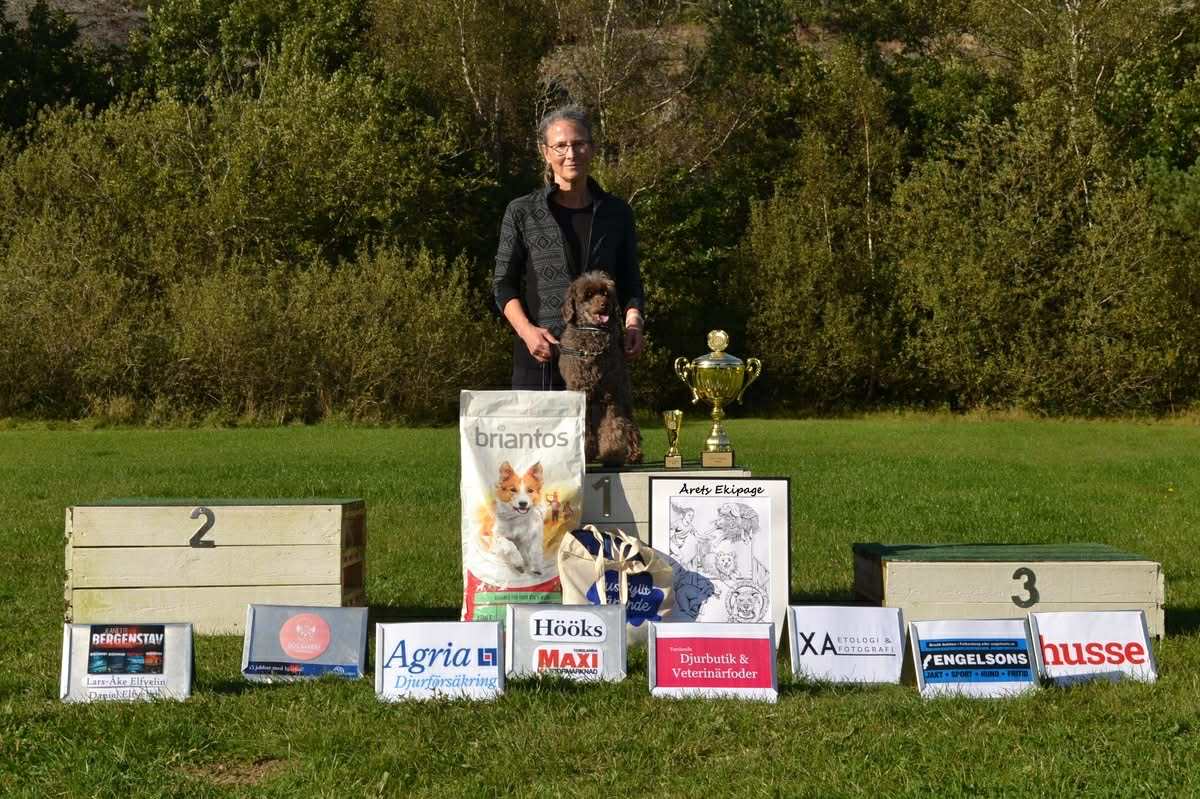 Årets klubbmästare