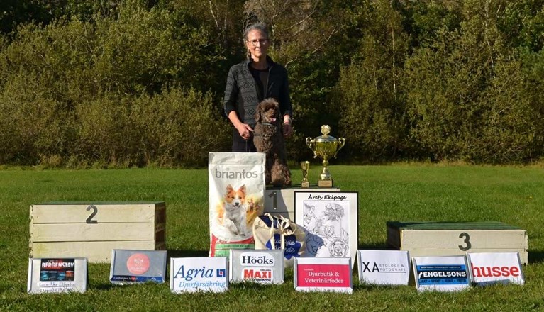 Årets klubbmästare