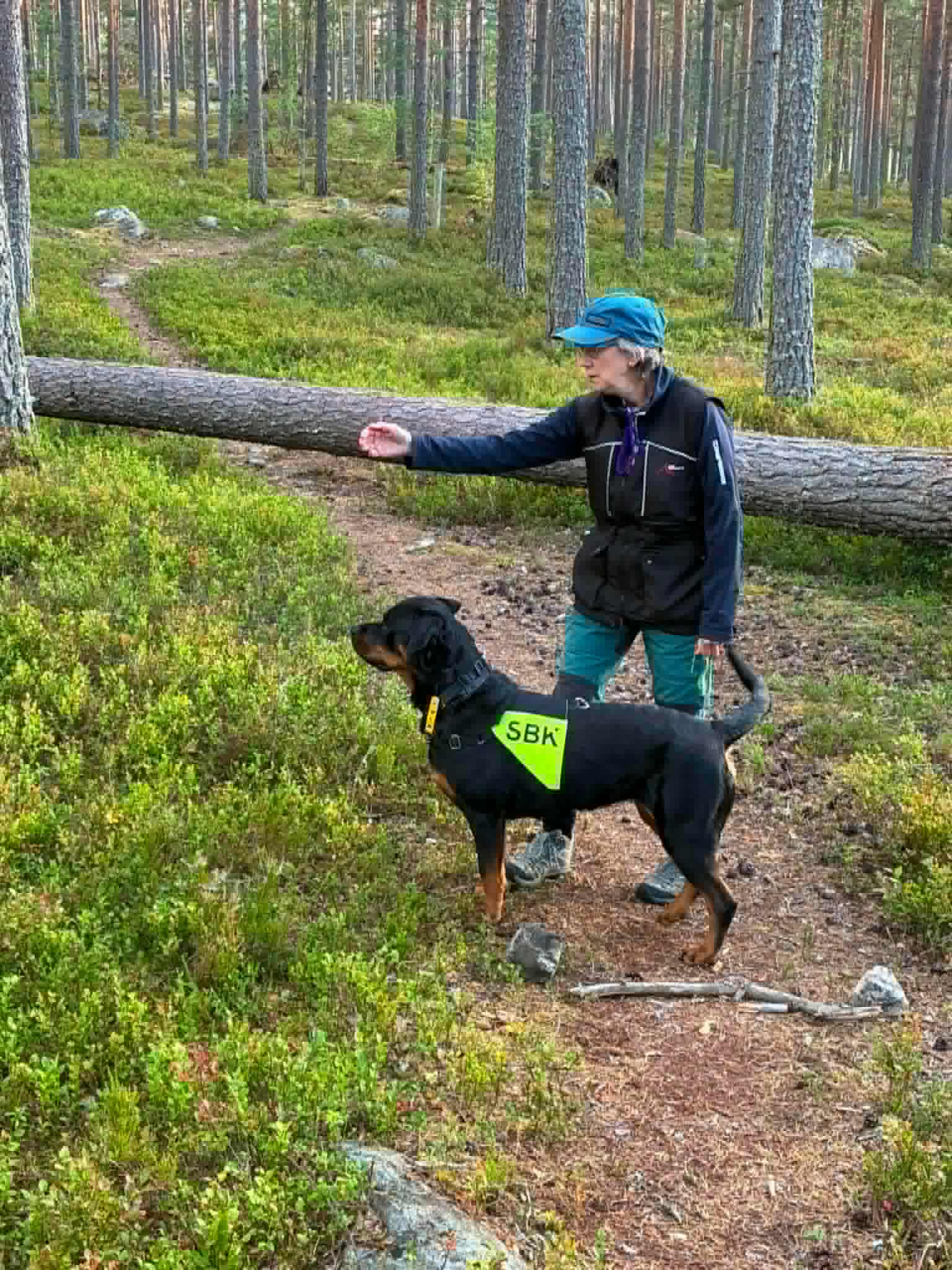 Rottweilern Lizzie med matte Ninnie i sökskogen