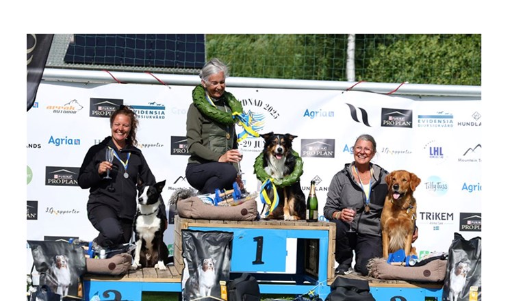 Foto på prispallen för lydnads SM 2025 från prisutdelningen