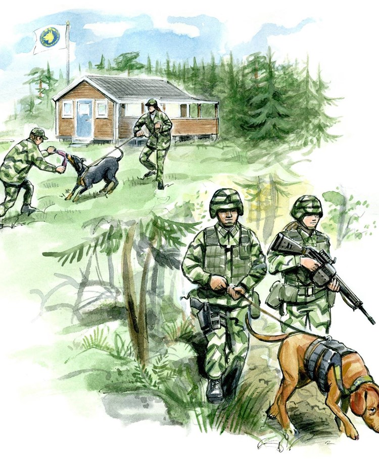 patrullhund