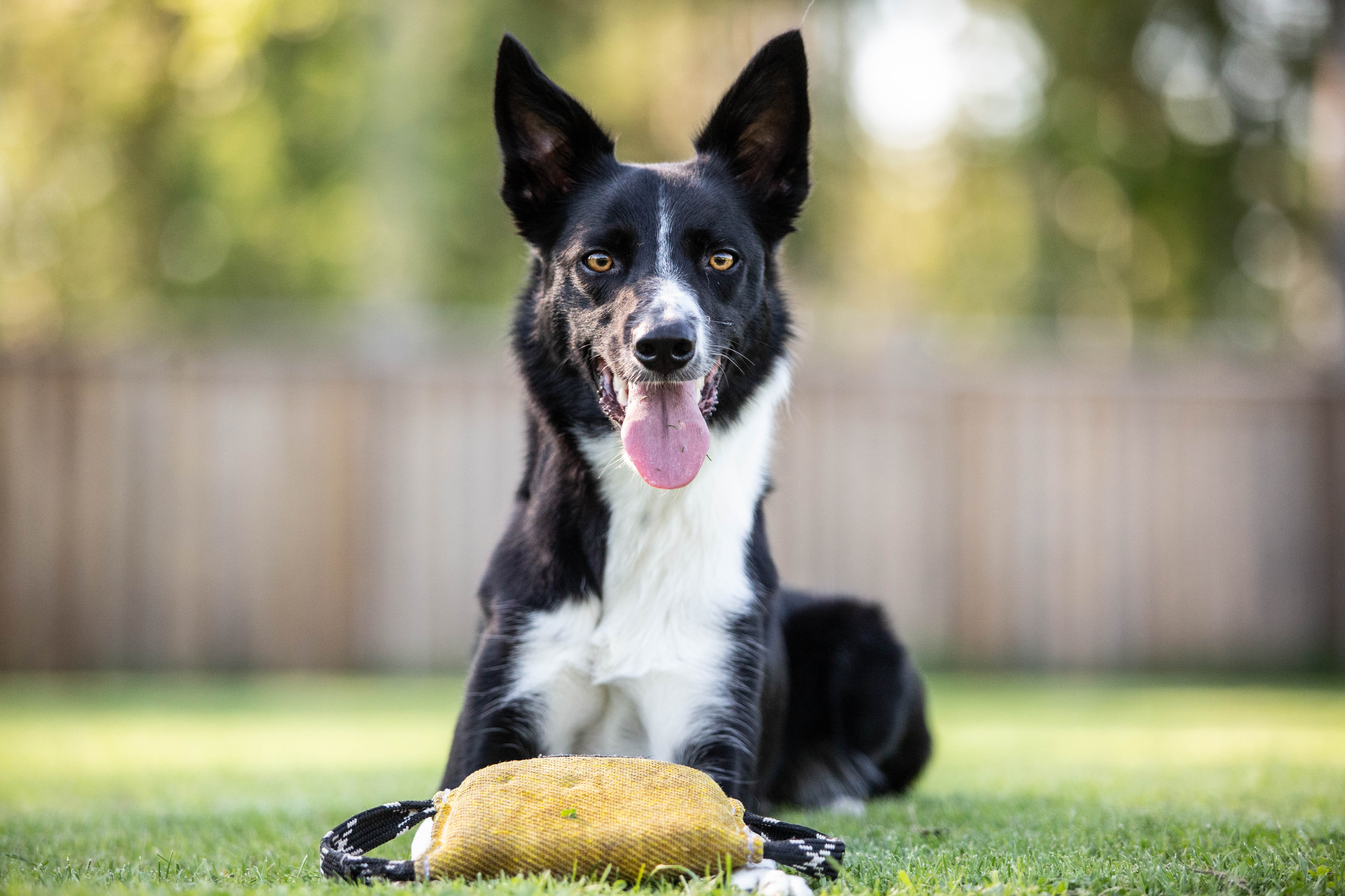 Jill

Bild: Alva Högkvist